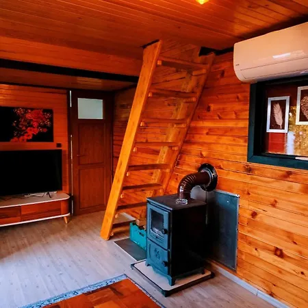 Casa vacanze Regulus - Side - Entertainment